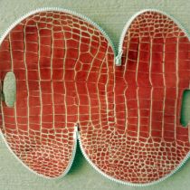 Chrysalis