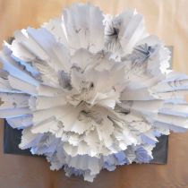Lillie-Schmitz
